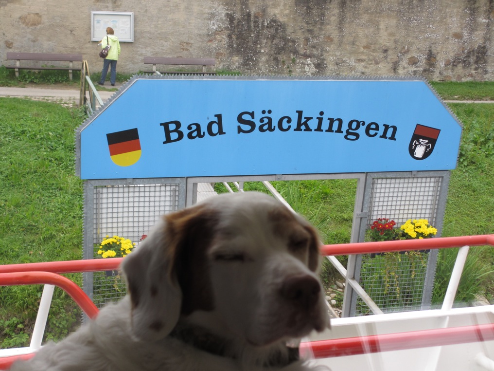 Loading Image