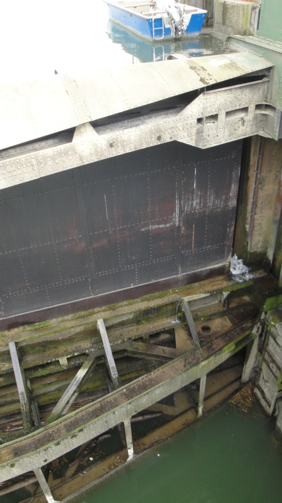 Loading Image